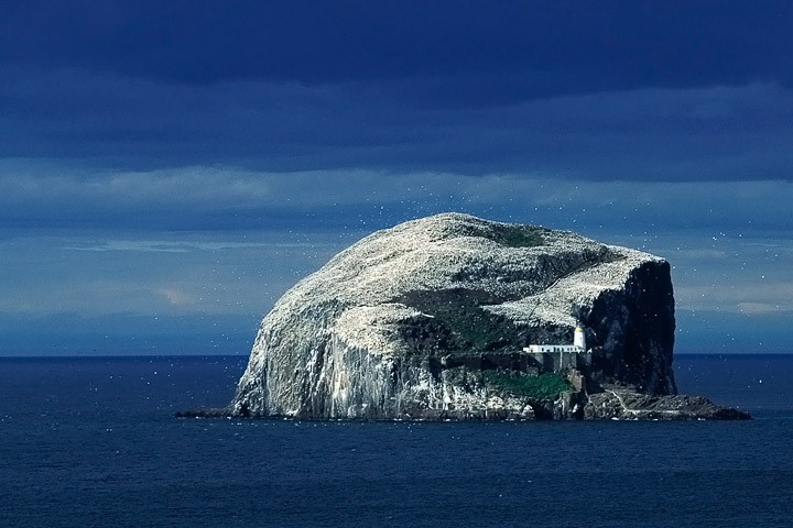 Isola di Bass Rock, Scozia: Isola di Bass Rock, Scozia