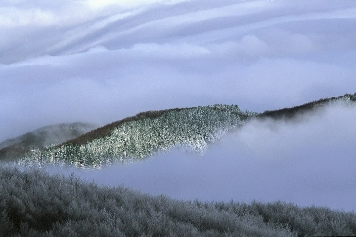 Crinali nella nebbia, M. Secchieta Toscana: Crinali nella nebbia, M. Secchieta Toscana