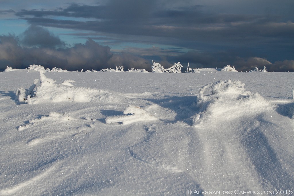 Prima neve, Monti del Pratomagno: Prima neve, Monti del Pratomagno