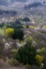 Primavera, Foreste Casentinesi ,Primavera, Foreste Casentinesi