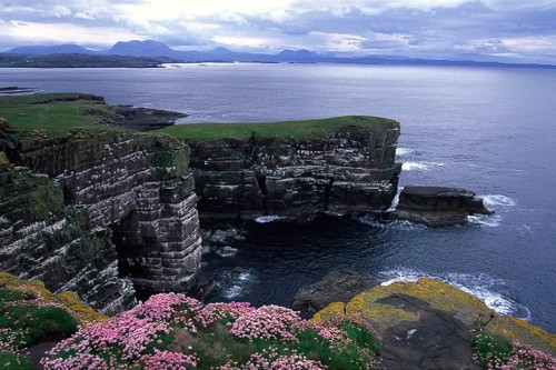 Scogliere isola di Handa, Scozia