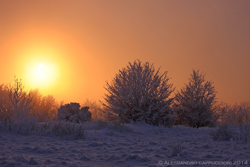 Nella nebbia al tramonto: Nella nebbia al tramonto