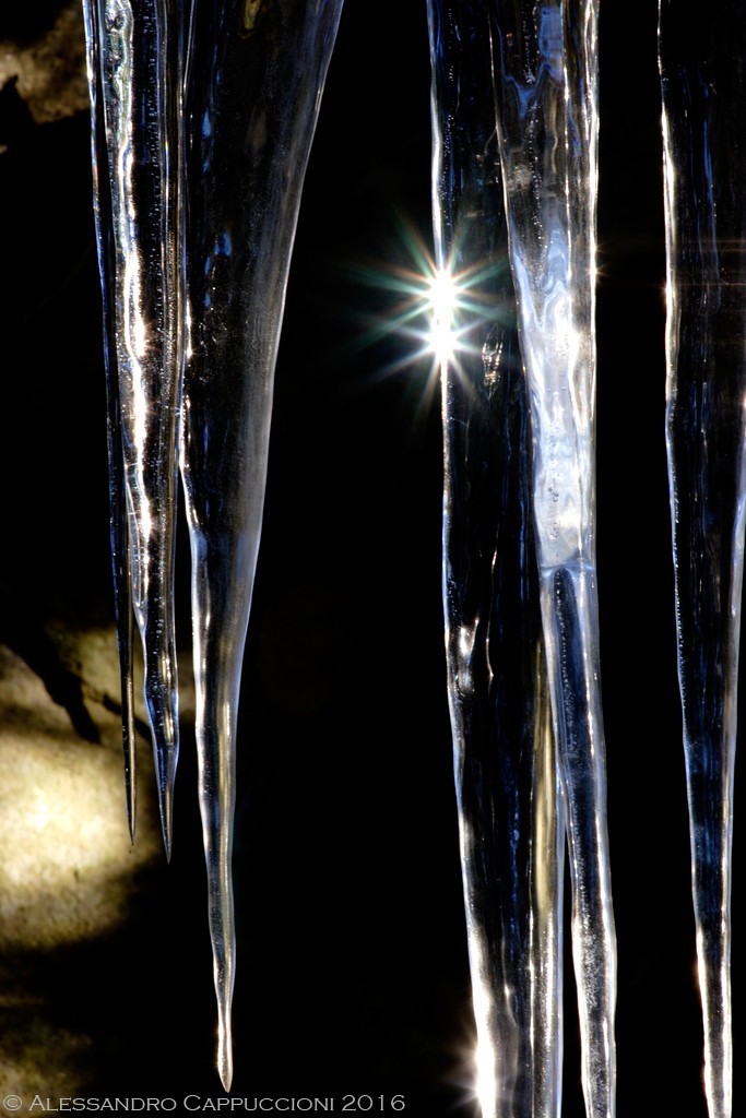 Riflessi su ghiaccio: Riflessi su ghiaccio